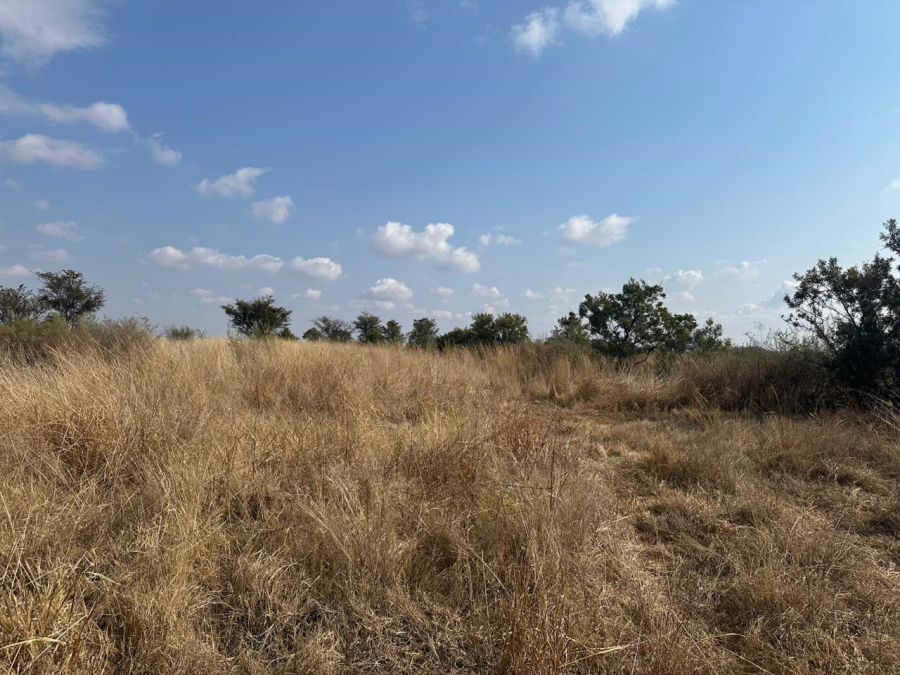 0 Bedroom Property for Sale in Lichtenburg Rural North West